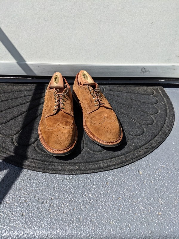 Alden 20463C