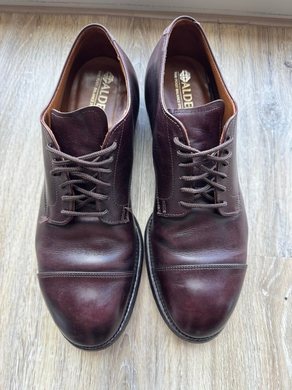 Alden 556
