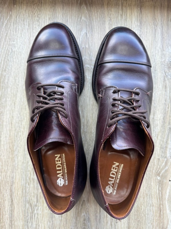Alden 556