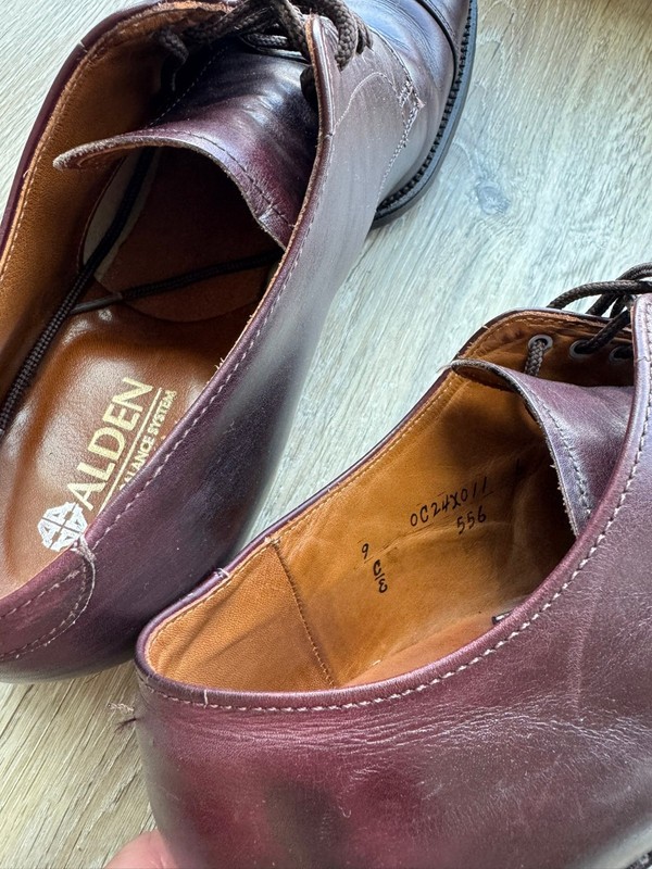 Alden 556