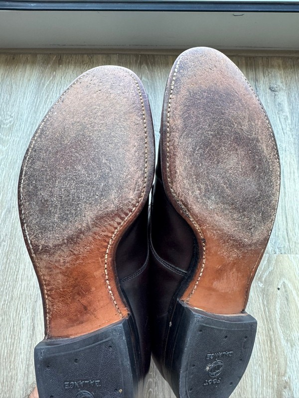 Alden 556