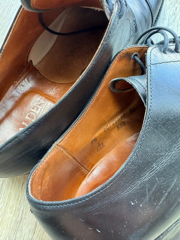 Alden 558