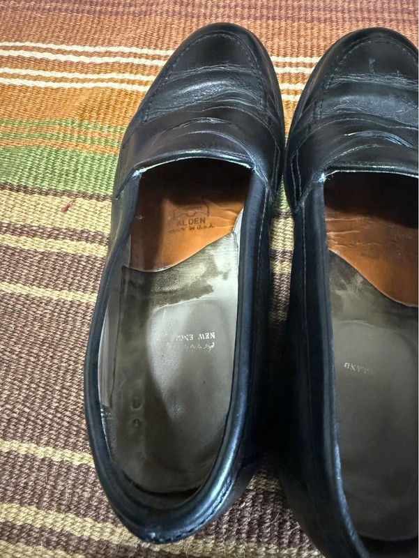 Alden 9695F