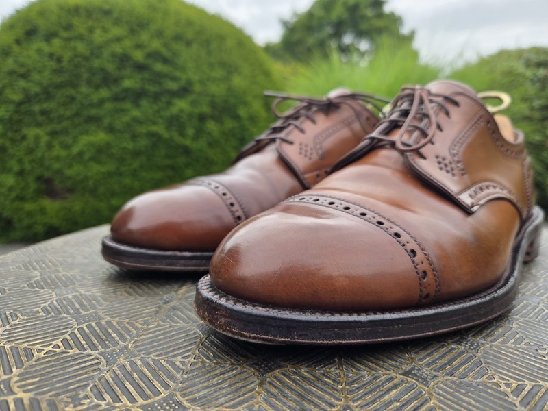 Alden 2264