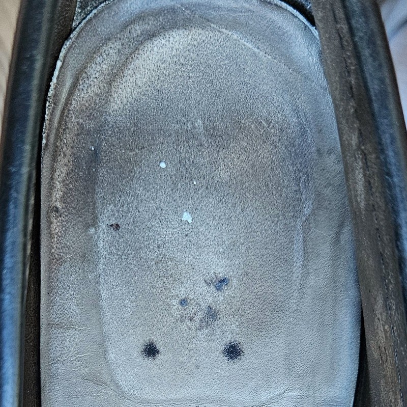 Alden 1330