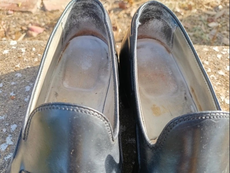 Alden 3775