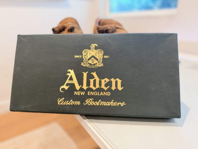 Alden 37673F
