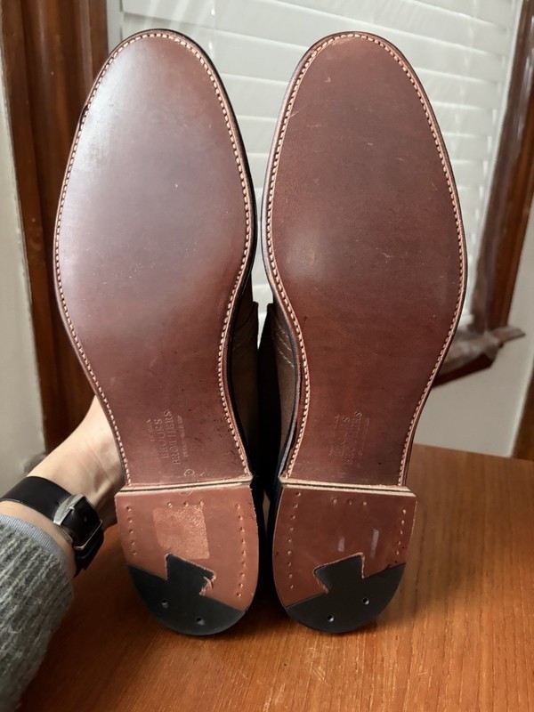 Alden 46481
