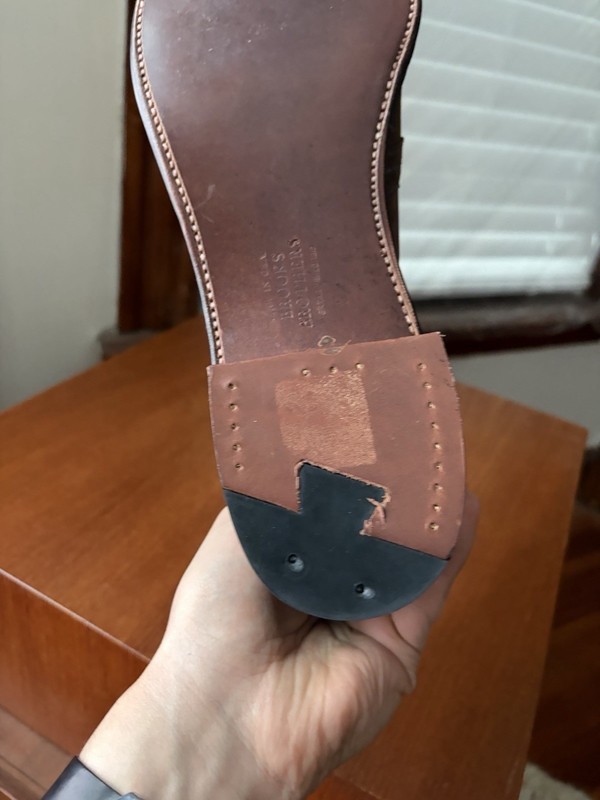 Alden 46481