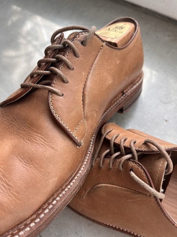 Alden 9501