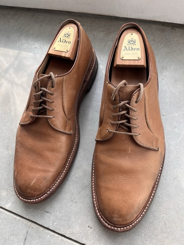 Alden 9501