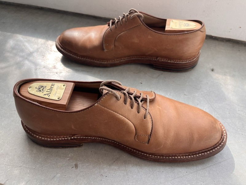 Alden 9501